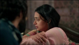 Binddii - 11th November 2025